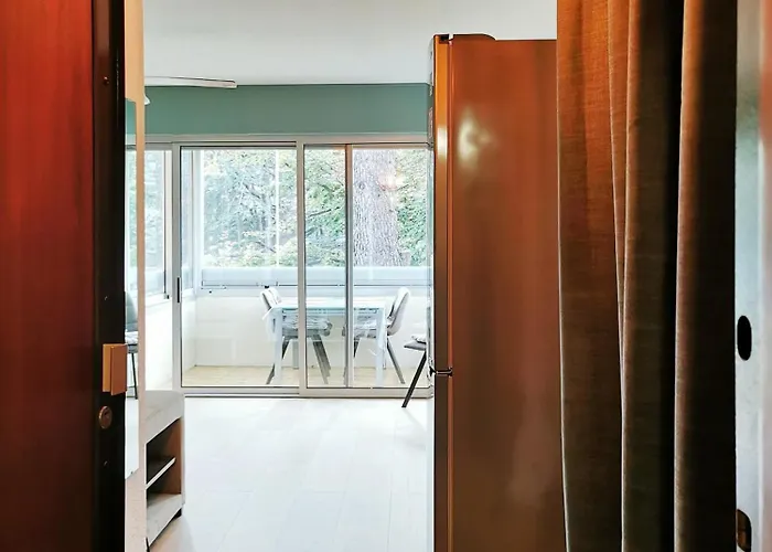 A 300m Des Plages De - Parking Prive * Сент-Максим